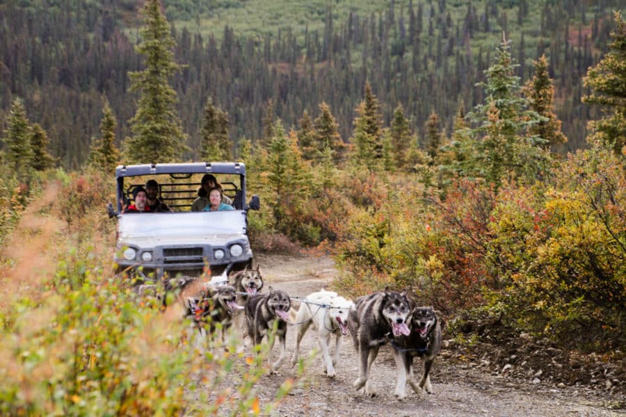mushing